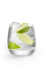 Gin Icon