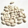 Cefalu Beans • Italian Cannellini - Image 2