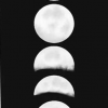 Seven Moons Red Blend - Image 2