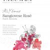 Yalumba Y Series Sangiovese Rose - Image 2