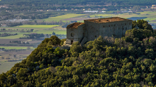 Zoom to enlarge the Sassicaia