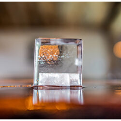 Fat Ice Craft Cocktail Cubes Fat Ice Craft Cocktail Cubes