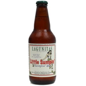 Lagunitas Born Yesterday Fresh Hop Ale &bull; 6pk Bottle