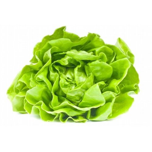 Zoom to enlarge the Produce • Lettuce Greenleaf