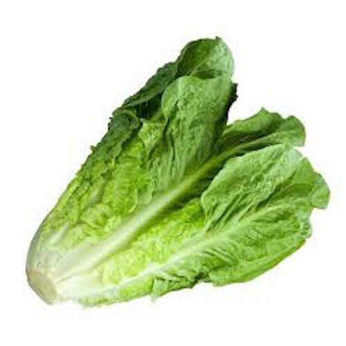 Zoom to enlarge the Produce • Lettuce Romaine