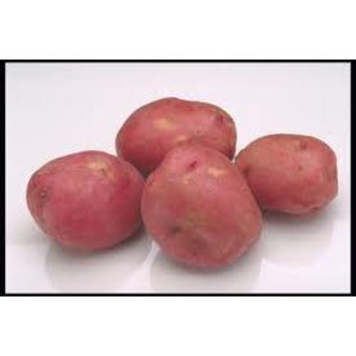 Zoom to enlarge the Produce • Potatoes Red 5 Lb