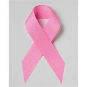 Lifoam Insulated Cooler 6 Pack Breast Cancer