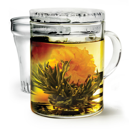 Zoom to enlarge the Primula • Personal Tea Brewer Glass W.infuser  Lid