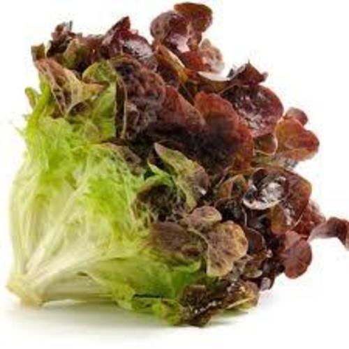 Zoom to enlarge the Produce • Lettuce Red Leaf