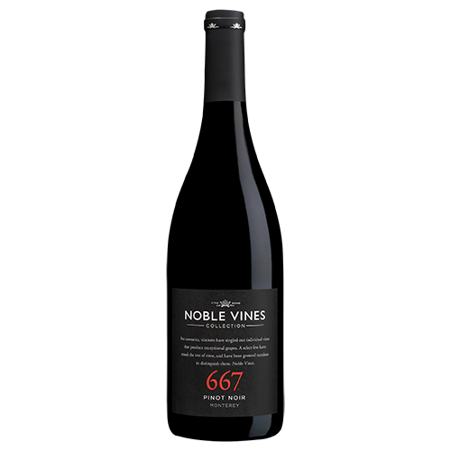 Zoom to enlarge the Noble Vines 667 Pinot Noir