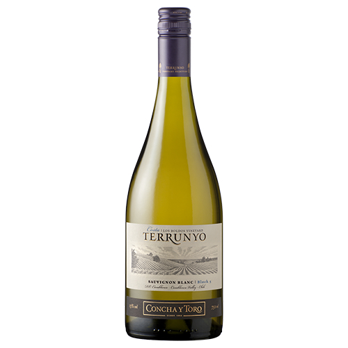 Zoom to enlarge the Concha Y Toro Terrunyo Sauvignon Blanc 6 / Case