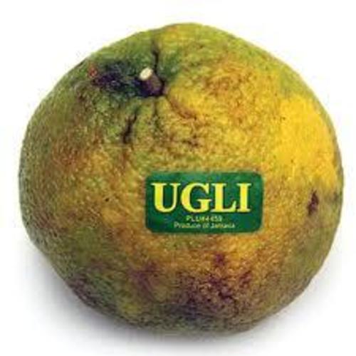 Zoom to enlarge the Produce • Ugli Fruit