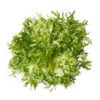 Produce • Lettuce Frisee