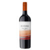 Bodini Malbec Mendoza
