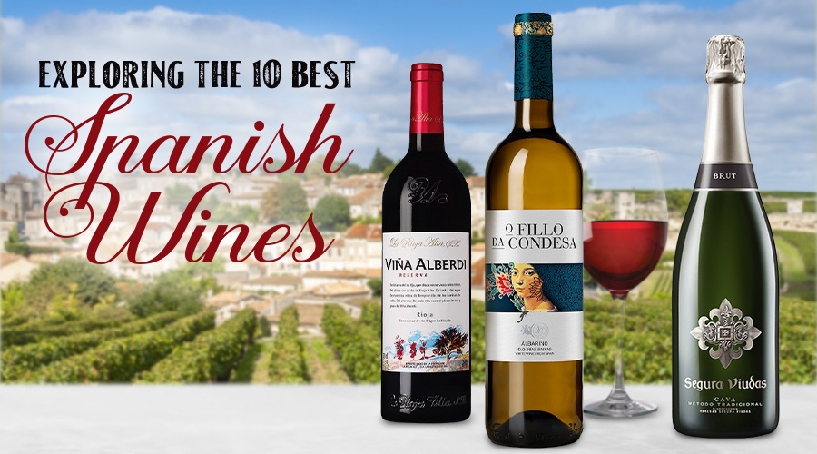 10 Best Spanish Red Wines - Spec's