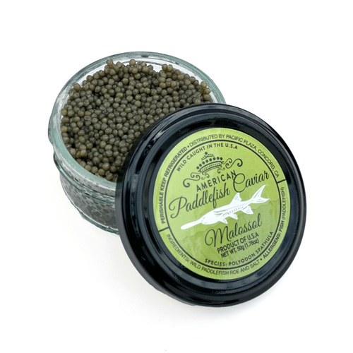 Zoom to enlarge the Plaza Caviar • American Paddlefish Lsl