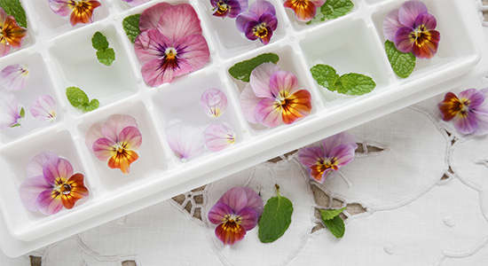Ice Cube Tray with Edible Flowers