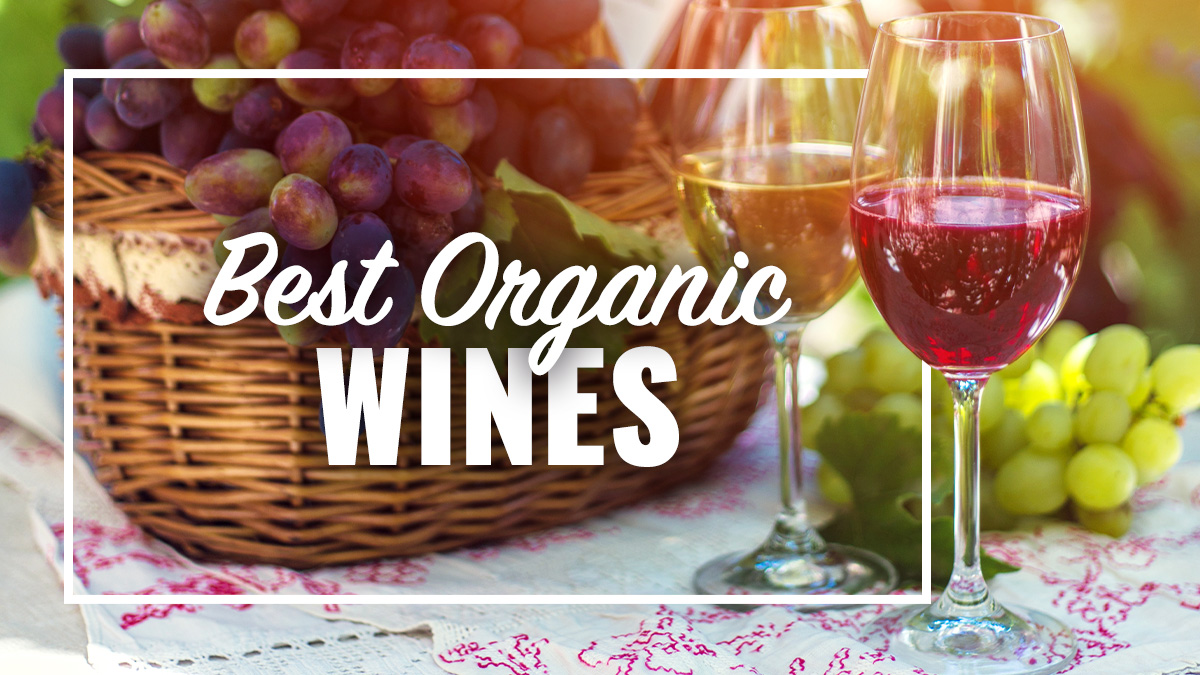 Best Organic Wines
