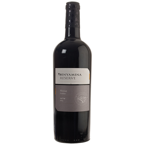 Zoom to enlarge the Binyamina Shiraz Reserve