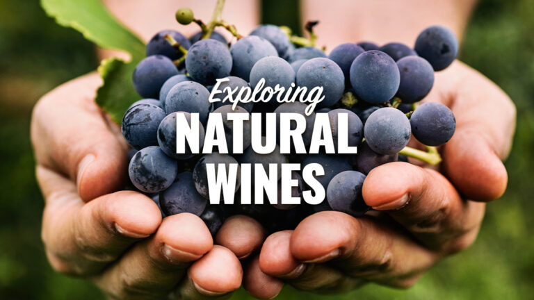 exploring natural wines