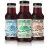 Chameleon Mexican Ready To Drink Cold Brew Coffee