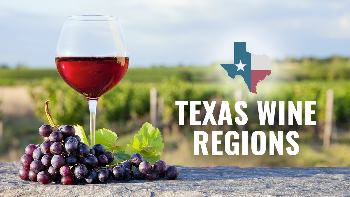 texas wine regions