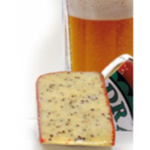 Zoom to enlarge the Somedale Red Dragon Cheddar Mustard Aleep