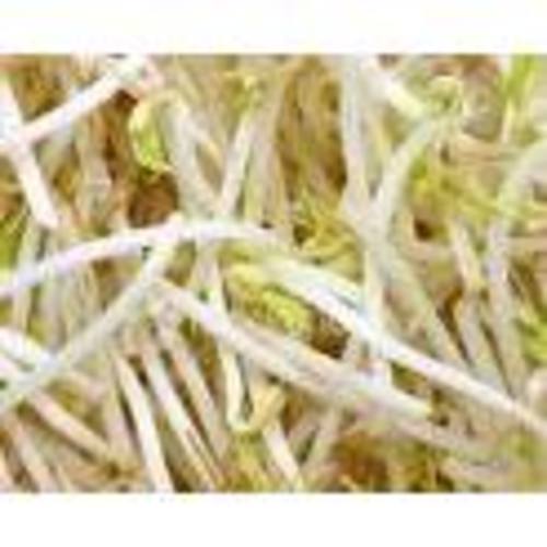 Zoom to enlarge the Produce &bull; Bean Sprouts