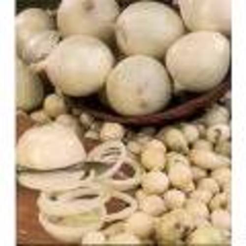 Zoom to enlarge the Produce &bull; Onion Texas “1015” White