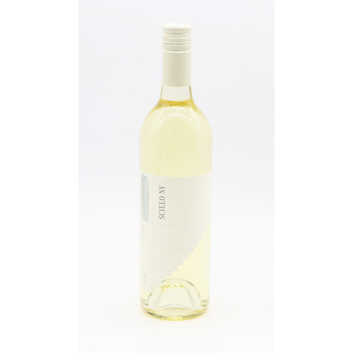 Rgny Scielo Sauvignon Blanc