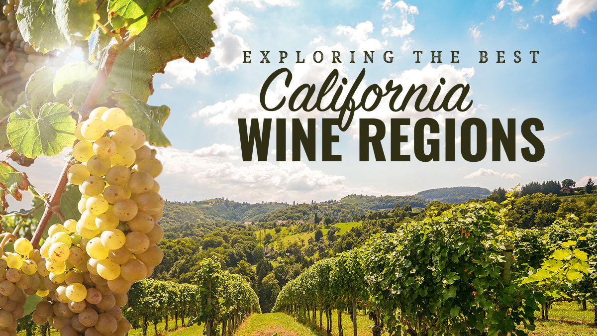 Exploring the best wine regions