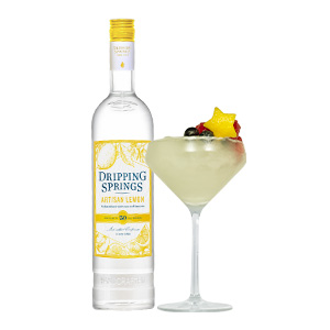 Frozen Lemon Drop Recipe